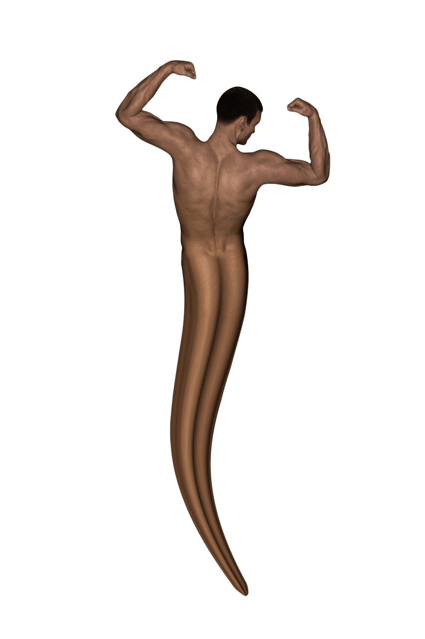 זרע